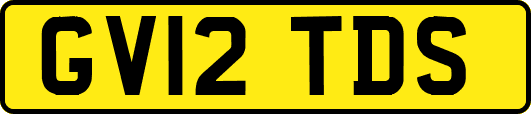 GV12TDS