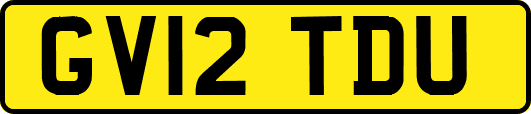 GV12TDU