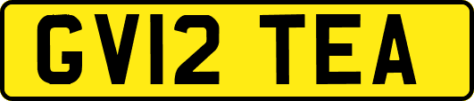 GV12TEA
