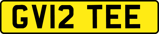 GV12TEE