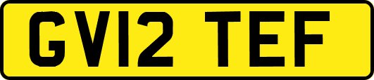 GV12TEF