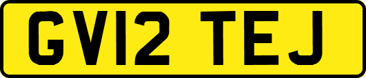 GV12TEJ