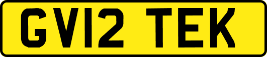 GV12TEK
