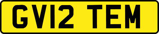 GV12TEM