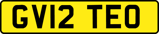 GV12TEO