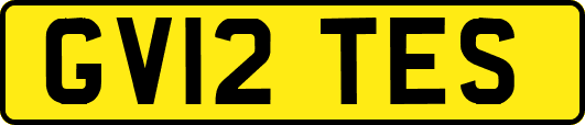 GV12TES