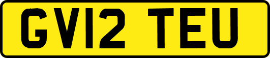 GV12TEU