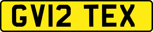GV12TEX