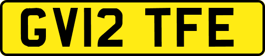 GV12TFE