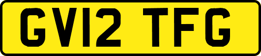 GV12TFG