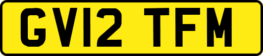 GV12TFM