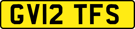 GV12TFS