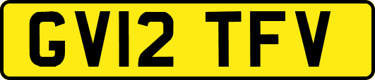 GV12TFV