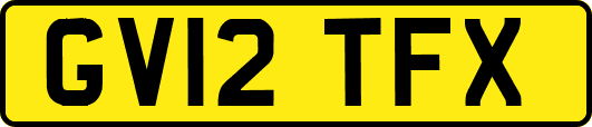 GV12TFX