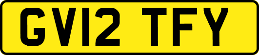 GV12TFY
