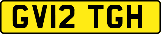 GV12TGH