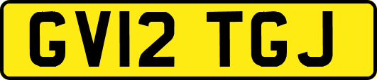 GV12TGJ