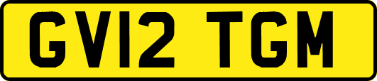 GV12TGM
