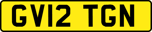 GV12TGN