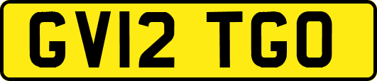 GV12TGO