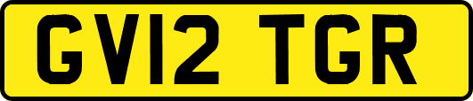 GV12TGR