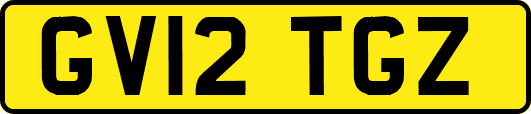 GV12TGZ