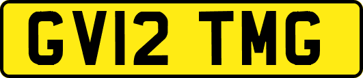 GV12TMG