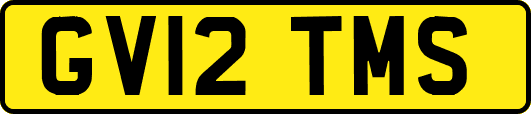 GV12TMS
