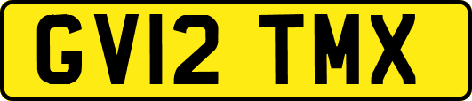 GV12TMX