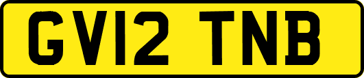 GV12TNB