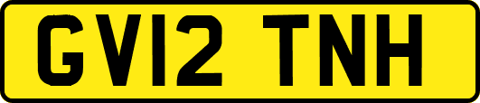 GV12TNH