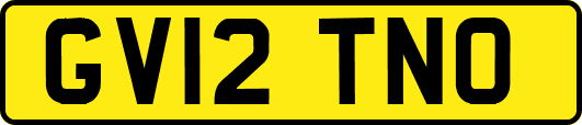 GV12TNO