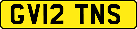 GV12TNS