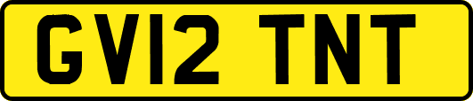 GV12TNT