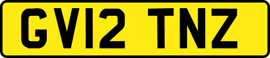 GV12TNZ