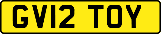 GV12TOY
