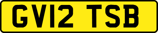 GV12TSB