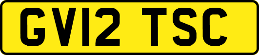 GV12TSC