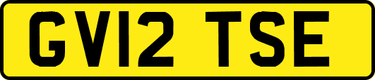 GV12TSE