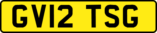 GV12TSG