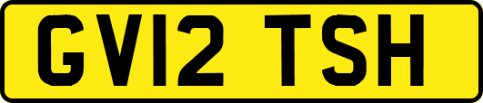 GV12TSH