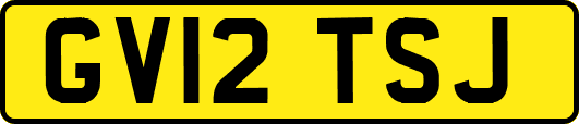 GV12TSJ