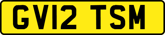 GV12TSM