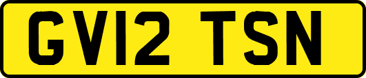 GV12TSN