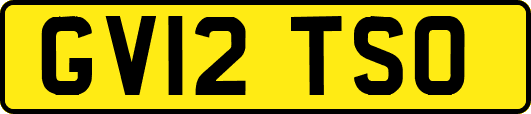 GV12TSO