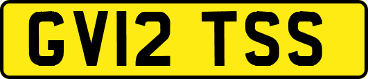GV12TSS