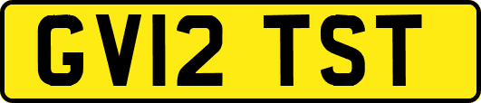 GV12TST