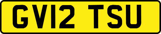GV12TSU