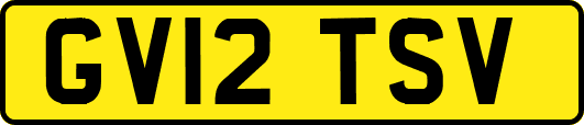 GV12TSV