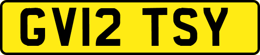 GV12TSY